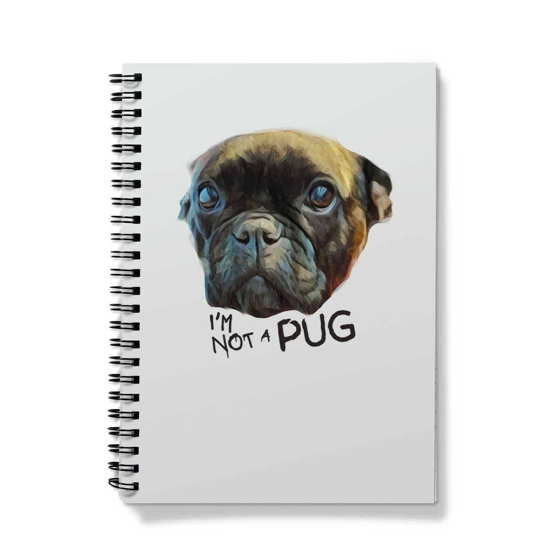 I'm not a PUG Notebook