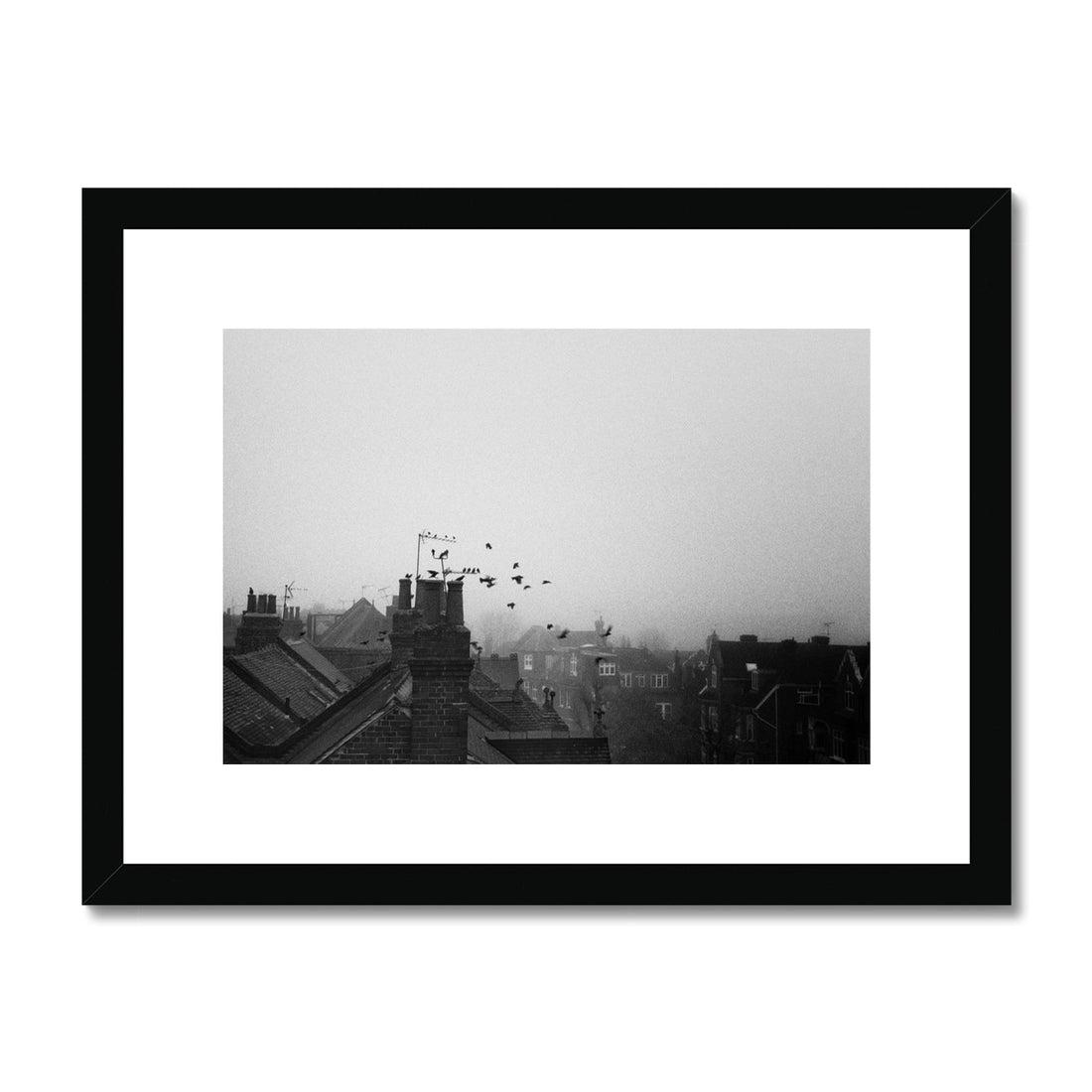 Birds Prepare for the Misty Day Ahead - Framed & Mounted Print